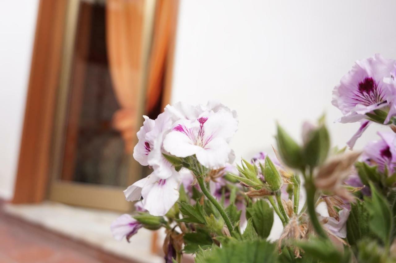 B&B Sikily Naxos Giardini Naxos Dış mekan fotoğraf